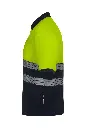 305533_61_20_3.webp