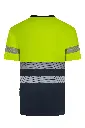 305633_61_20_2.webp