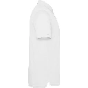 p_0400_01_8_1.webp