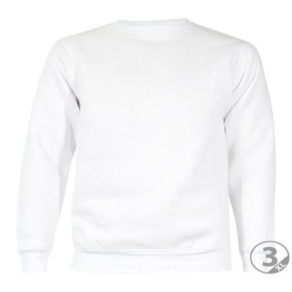 SUDADERA COTTON 100% ALGODON · [280g]